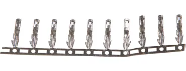 Dupont Jumper weiblich 10 Stück