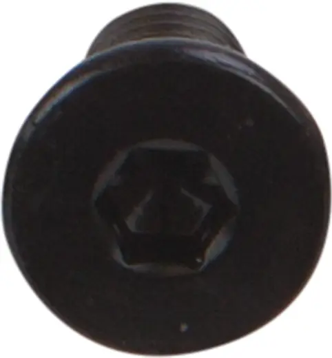 OpenBuilds Schraube mit niedrigem Kopf M5 10mm