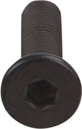 OpenBuilds Schraube mit niedrigem Kopf M5 20mm