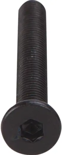 OpenBuilds Schraube mit niedrigem Kopf M5 40mm
