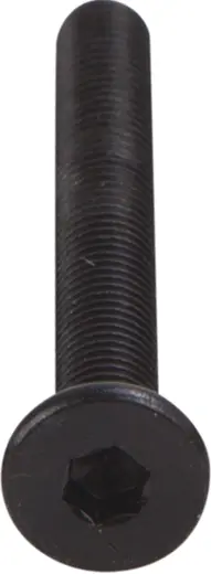 OpenBuilds Schraube mit niedrigem Kopf M5 45mm