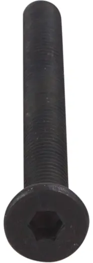OpenBuilds Schraube mit niedrigem Kopf M5 50mm