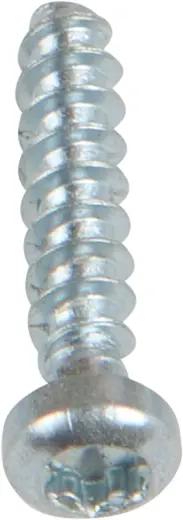 Linsenkopf Schraube für Thermoplaste, 2.5mm x 12mm