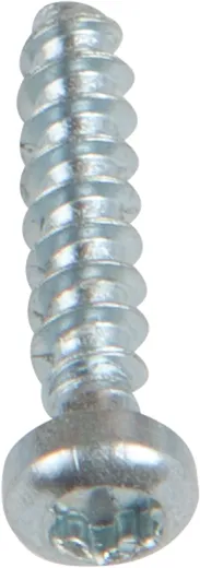 Lens head screw for thermoplastics, 2.5mm x 12mm